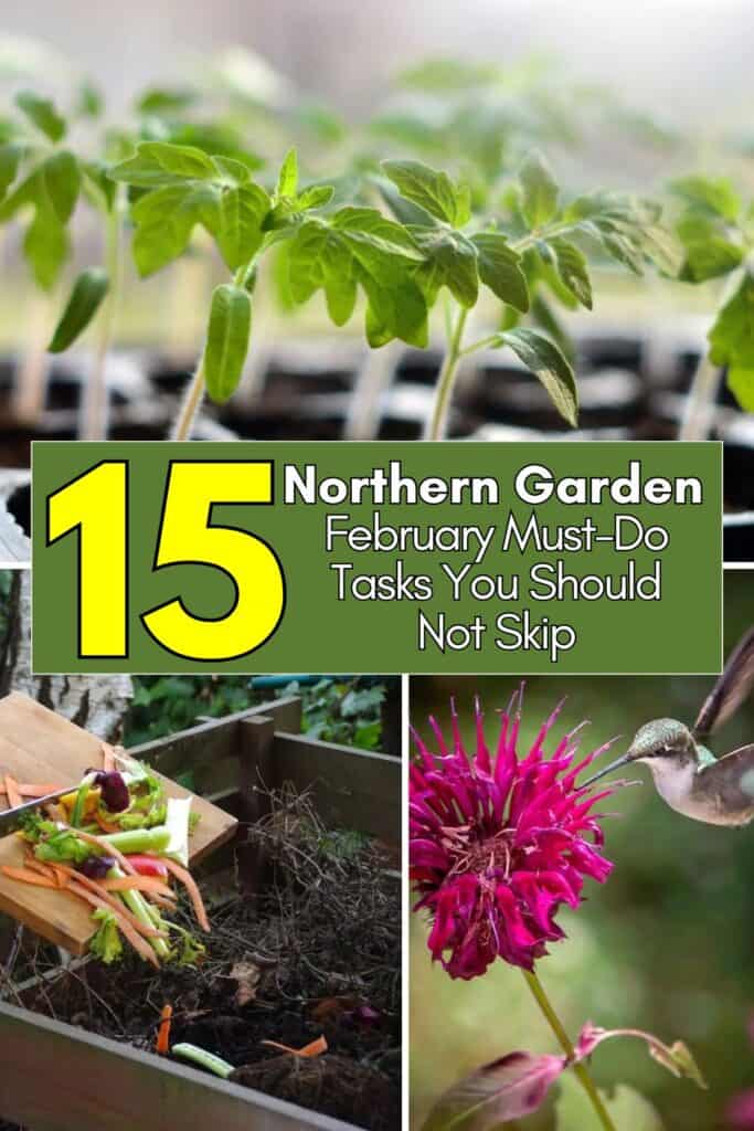 15 Gartenaufgaben für Februar im Norden - 3 15 Gartenaufgaben fur Februar im Norden