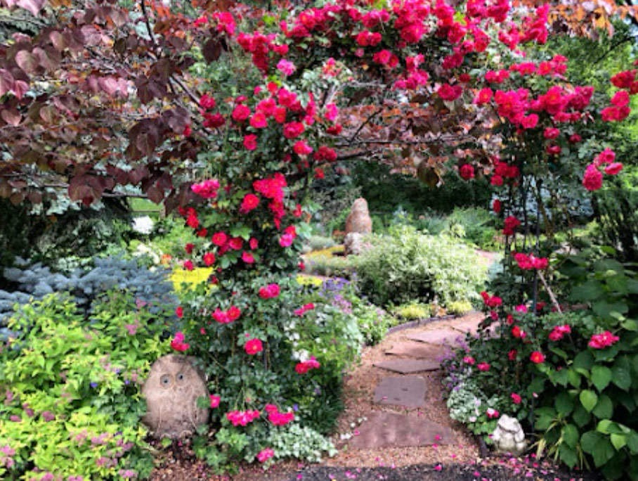 Blick auf den Garten durch Bogen mit roten Rosen bedeckt