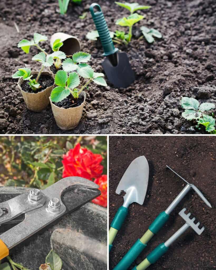 15 Gartenaufgaben für Februar im Norden - 10 1743025888 25 15 Gartenaufgaben fur Februar im Norden