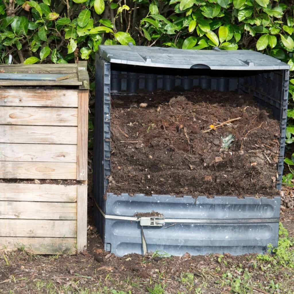 15 Gartenaufgaben für Februar im Norden - 8 1743025888 776 15 Gartenaufgaben fur Februar im Norden