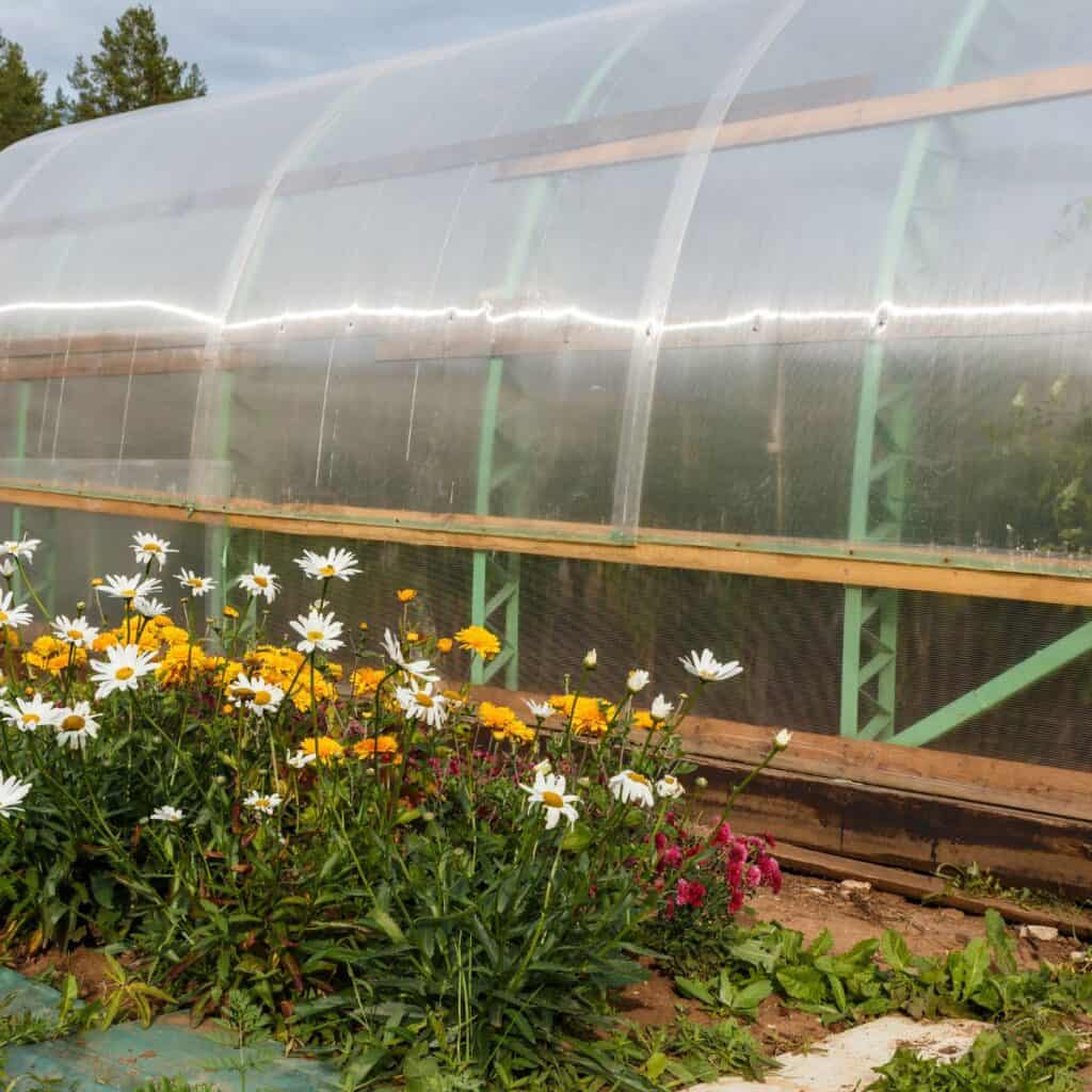 ttlid-60455-gardening-tasks-feb-north-t1 1743025890 595 15 Gartenaufgaben fur Februar im Norden