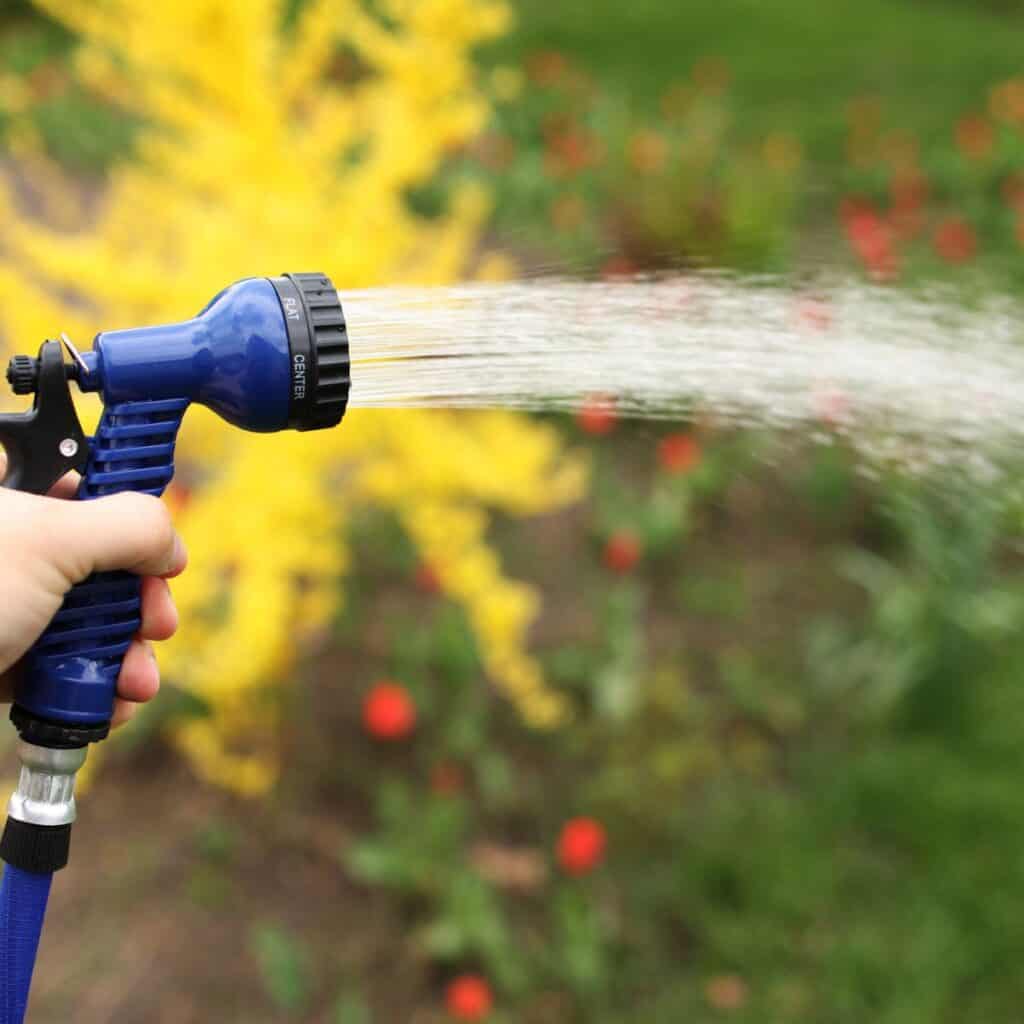 15 Gartenaufgaben für Februar im Norden - 18 1743025890 619 15 Gartenaufgaben fur Februar im Norden