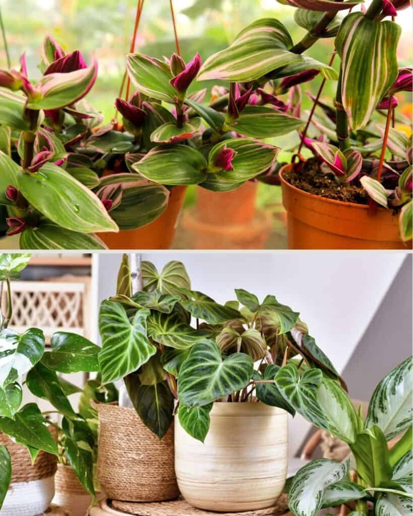 15 Gartenaufgaben für Februar im Norden - 16 1743025890 921 15 Gartenaufgaben fur Februar im Norden