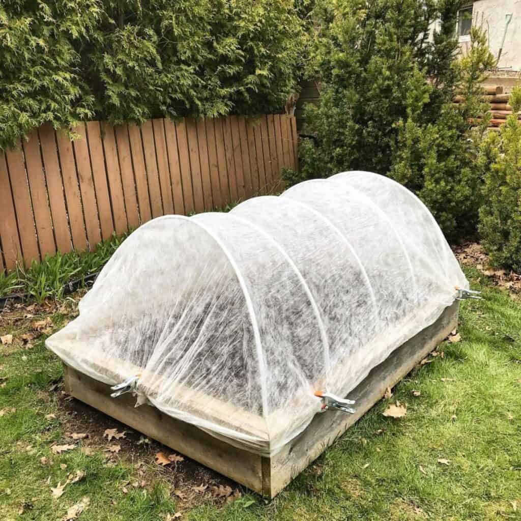 ttlid-60445-gardening-tasks-feb-south-t1 1743066385 523 15 Gartenaufgaben fur Februar im Suden