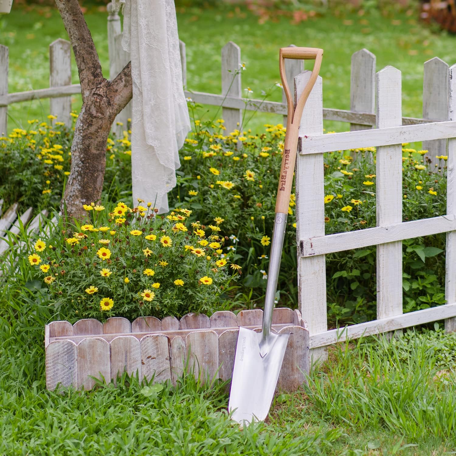 Julies Frühlingsgarten in Georgia, Teil 1 16 1743399358 690 Fruhe Fruhlingsblumen in Carlas Garten Teil 1