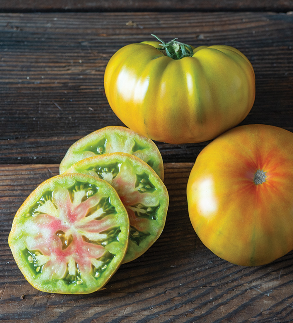 The Best New Plants for 2025 29 Woodstock Organic tomato