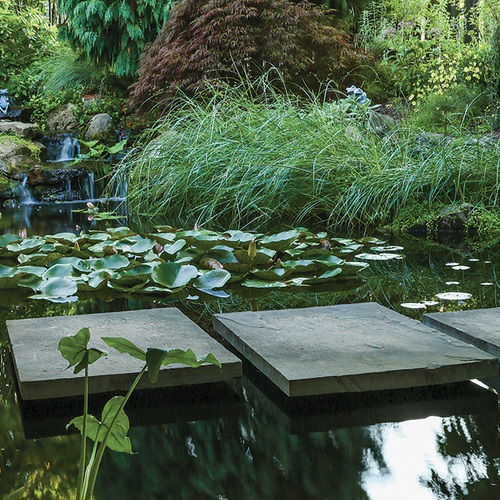 Trittsteine ​​über einen Gartenteich