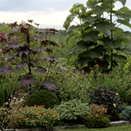 1743878636 343 Amerikas schonste private Garten Exklusive Videotouren