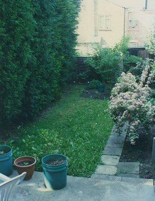 Backgarten vor der Transformation