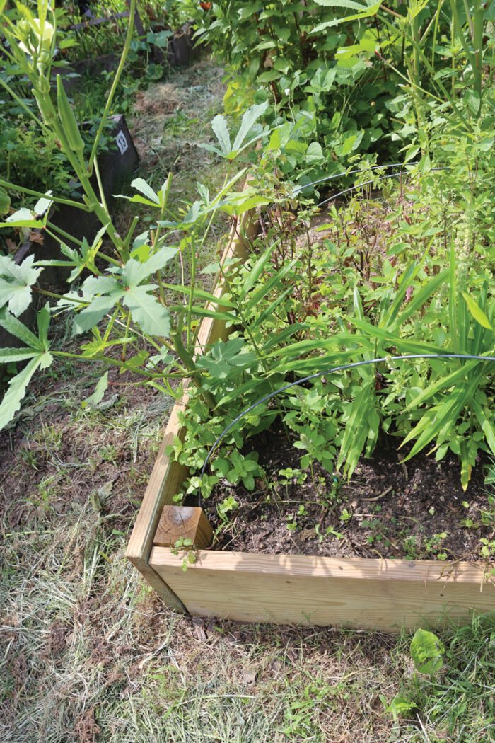 Hölzerne Angehobene Gartenbett