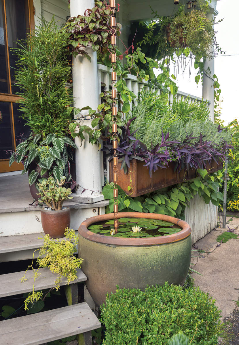 Privatsphäre in einem Garten ohne Zaun aufrechterhalten 5 1747743817 493 Privatsphare in einem Garten ohne Zaun aufrechterhalten