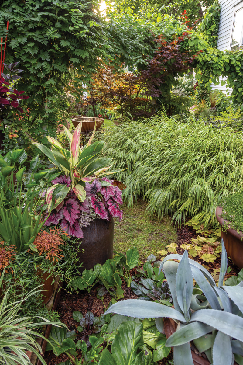 Make a Big Impact in a Small Urban Space with Tropical Plants 5 1747762827 666 Make a Big Impact in a Small Urban Space with