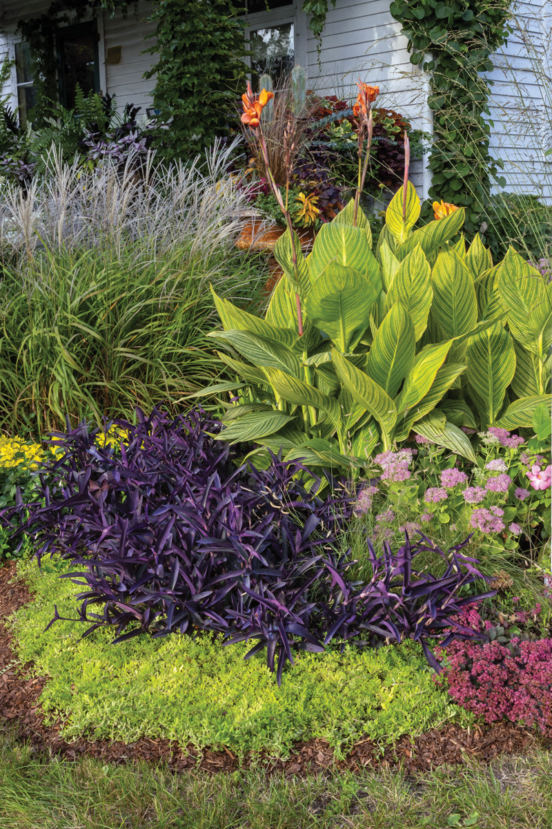 Make a Big Impact in a Small Urban Space with Tropical Plants 4 1747762827 961 Make a Big Impact in a Small Urban Space with