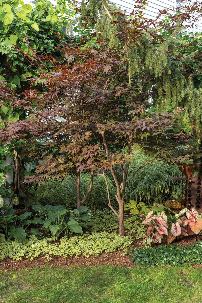 Make a Big Impact in a Small Urban Space with Tropical Plants 7 Photography by Tracy Walsh Photo