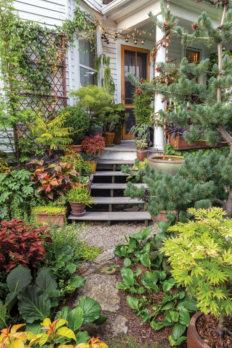 Make a Big Impact in a Small Urban Space with Tropical Plants 10 1747762830 239 Make a Big Impact in a Small Urban Space with