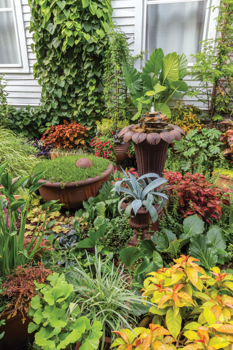 Make a Big Impact in a Small Urban Space with Tropical Plants 9 1747762830 306 Make a Big Impact in a Small Urban Space with