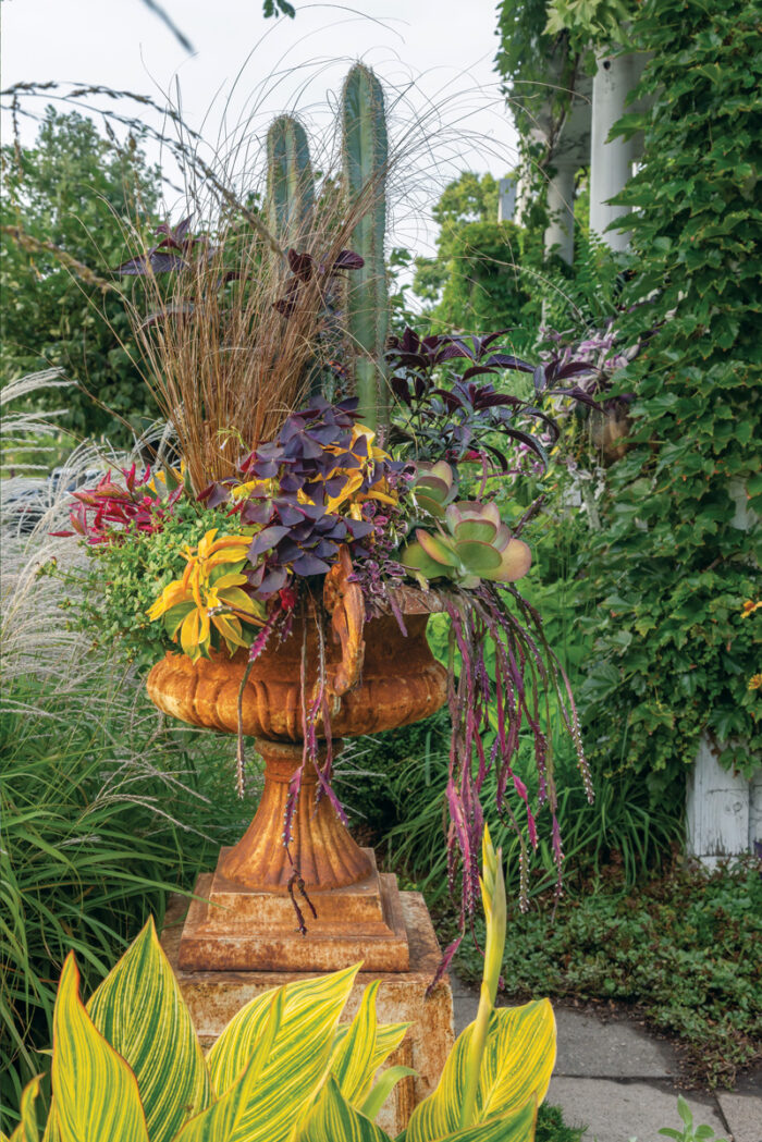 Make a Big Impact in a Small Urban Space with Tropical Plants 12 1747762830 689 Make a Big Impact in a Small Urban Space with