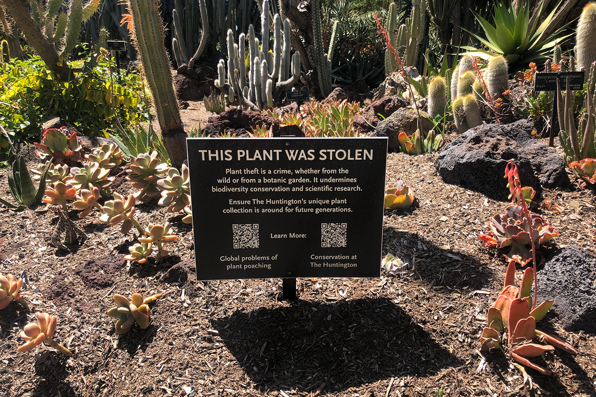 Online Plant Poaching: The Growing Problem of Botanical Theft 6 sign about plant theft in dessert garden bed