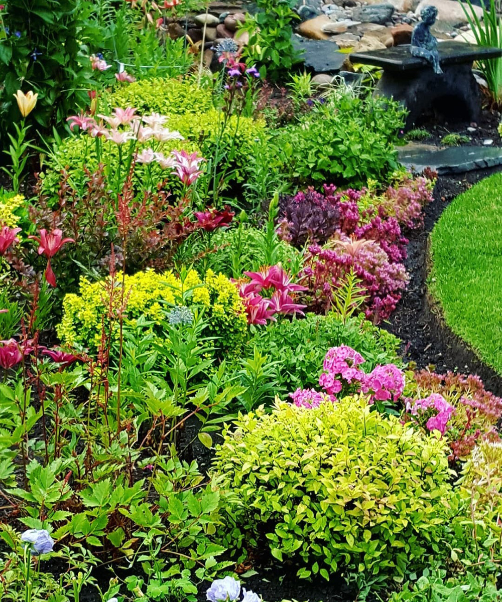 Gartengrenze mit vielen rosa Blumen
