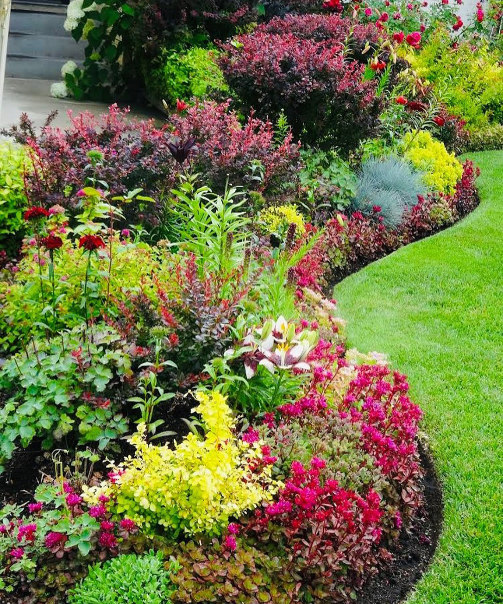 Gartengrenze mit roten Pflanzen