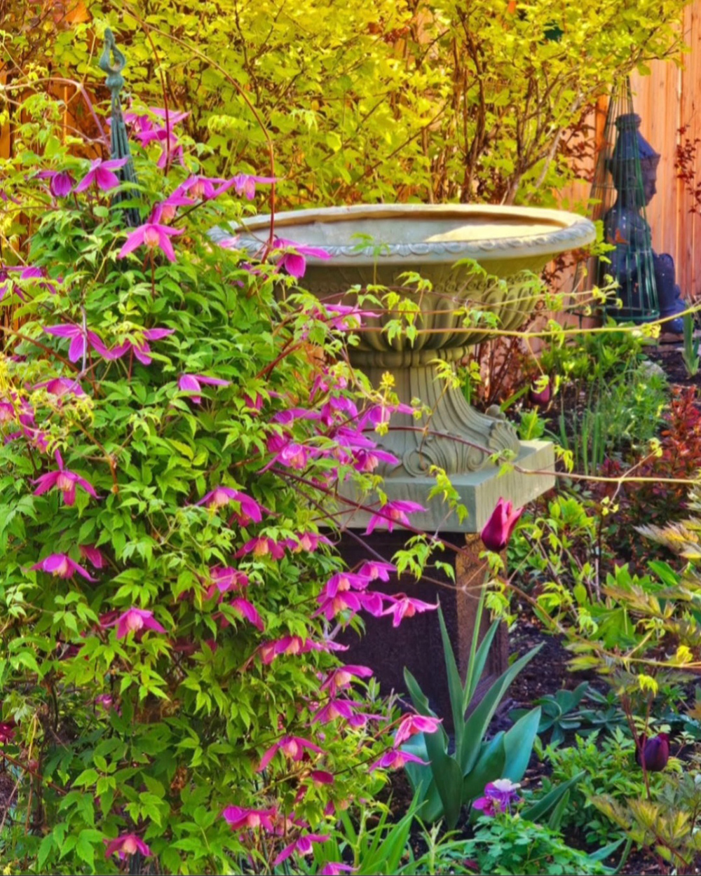 leuchtend rosa Blumen neben goldenem Laub