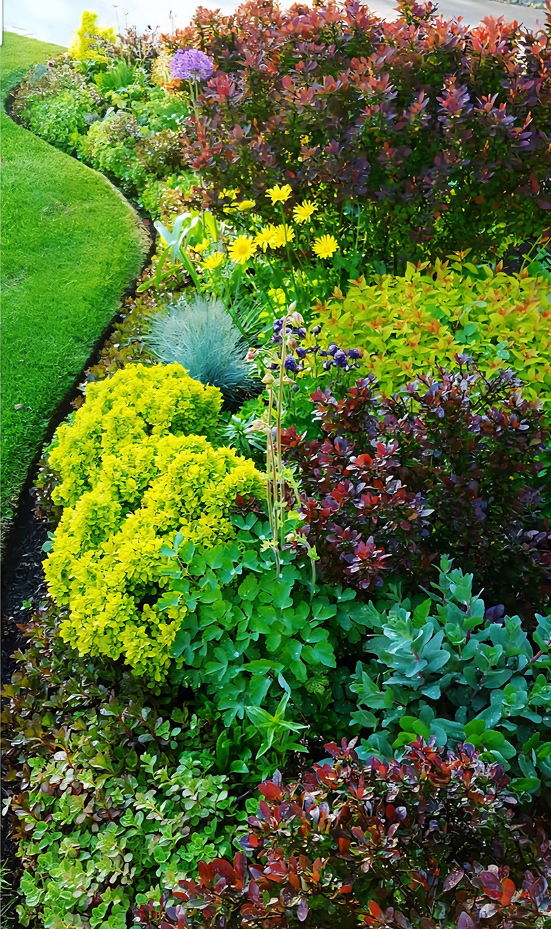 Gartengrenze mit farbenfrohen Laubpflanzen
