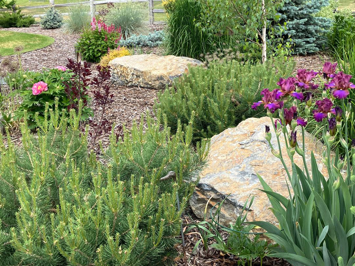 Neues Gartenbett mit jungen Pflanzen