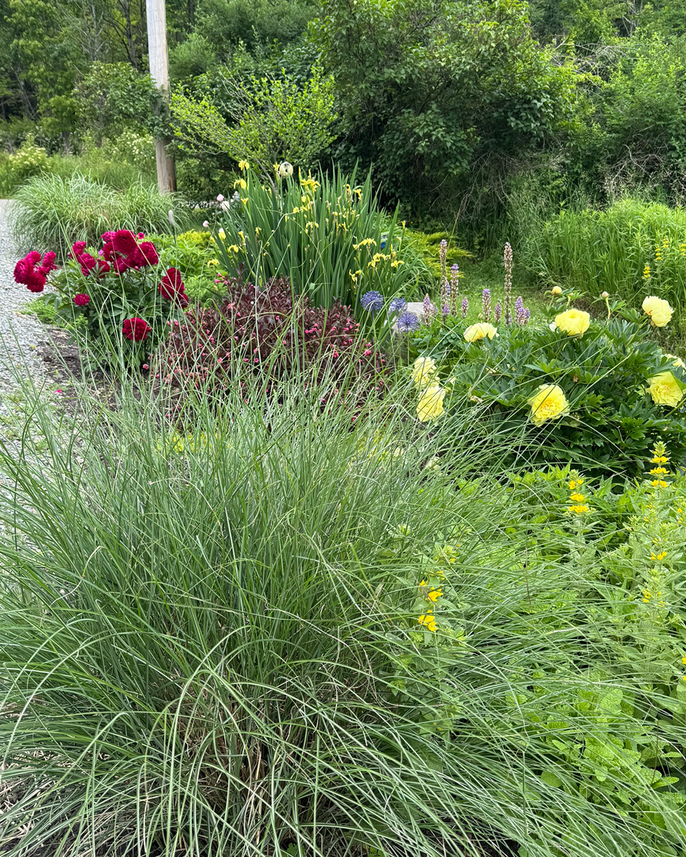 Gras und Blumen in Grenze neben der Einfahrt
