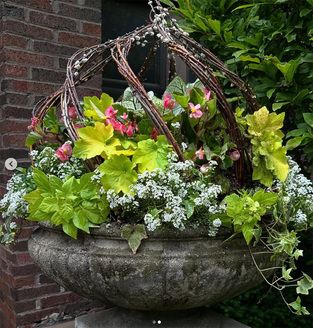 Nahaufnahme des Behälters mit rosa und weißen Blumen