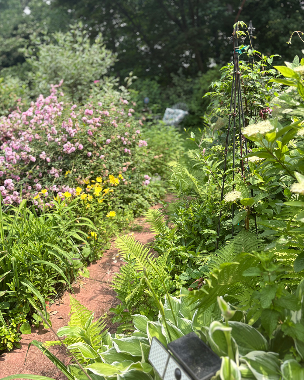 Pfad, der durch sonnige Gartenbetten schneidet
