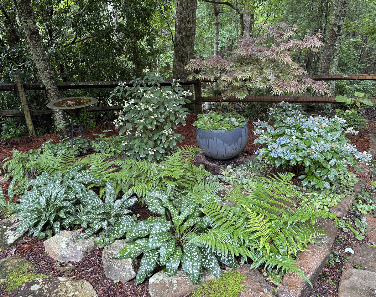 Schattengarten mit vielen Laubpflanzen