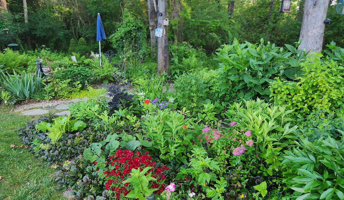 Frühsommergarten