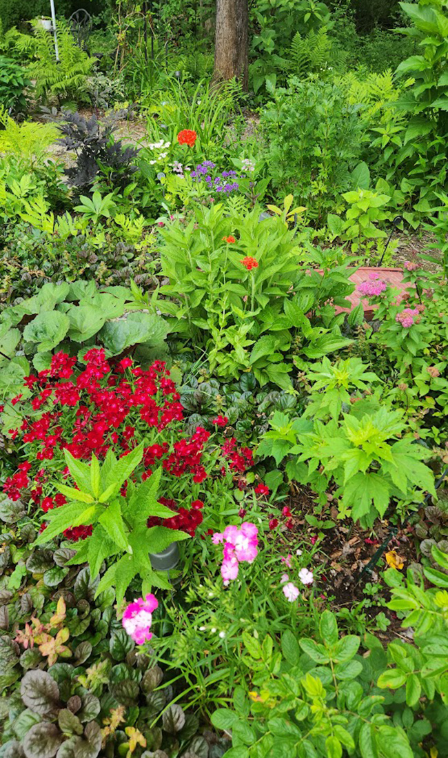 Frühsommergarten