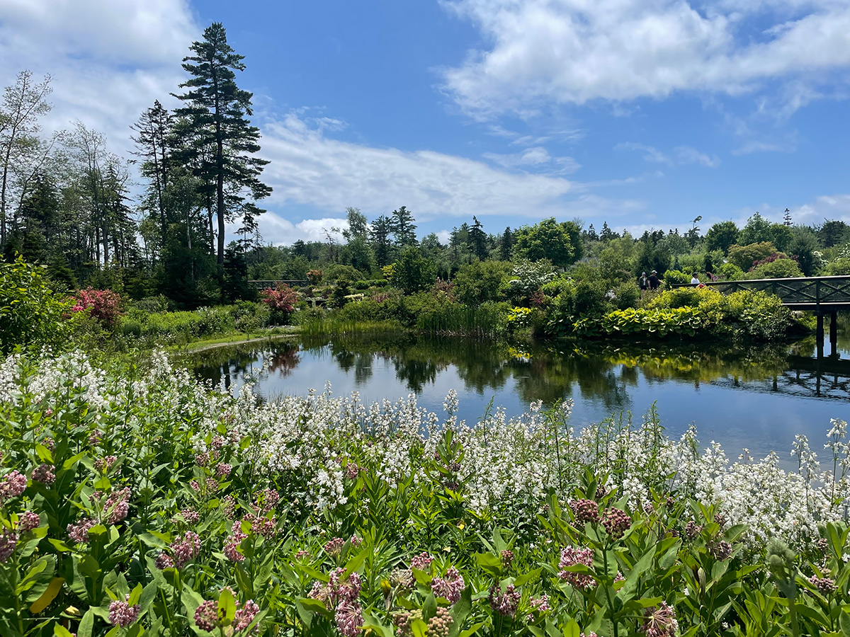 Botanischer Garten der Küste Maine