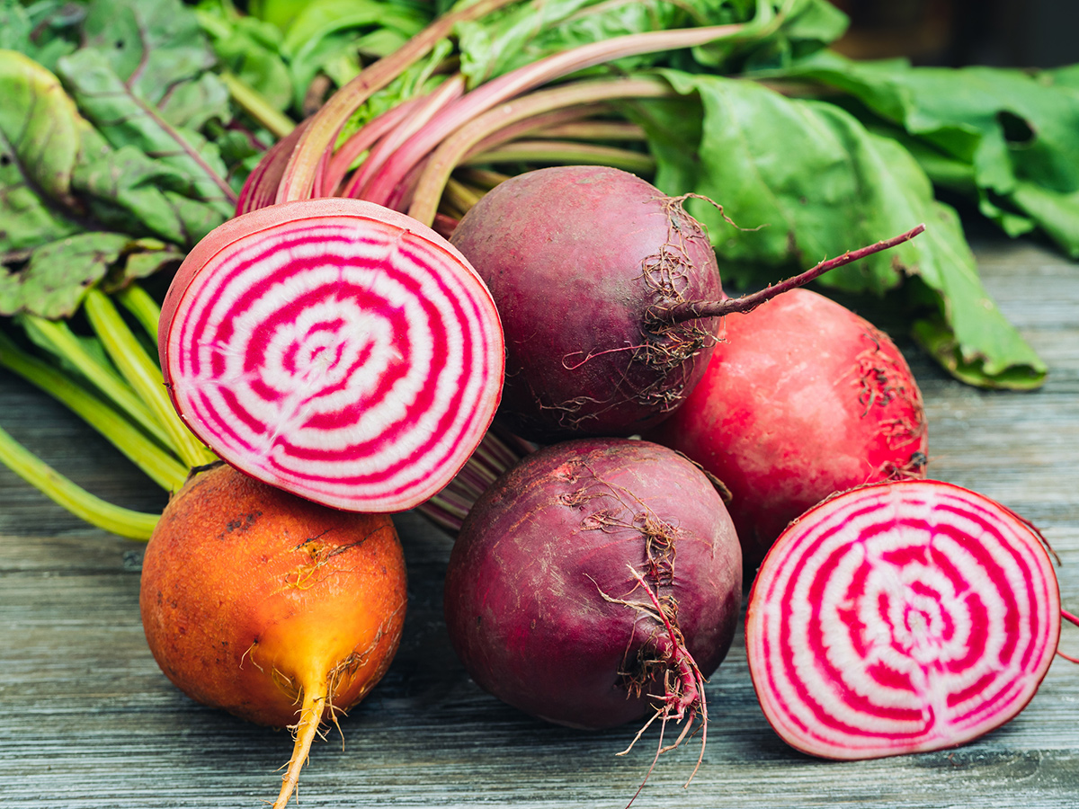 Die besten Rüben anbauen - feine Gartenarbeit 6 Chioggia -Rüben
