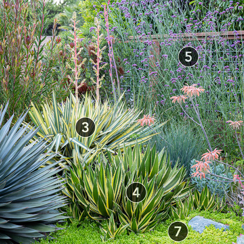 Fg221caldwell plantids3 thumb 1x1.jpg
