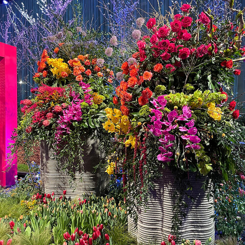 Gpod hayes 8 pfs containers and spring bulbs 2 thumb 1x1.jpg
