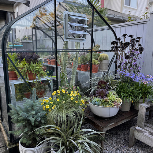 Gpod ong 7 plants around greenhouse thumb 1x1.jpg