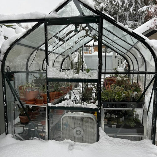 Gpod ong 9 greenhouse in snowy winter garden thumb 1x1.jpg