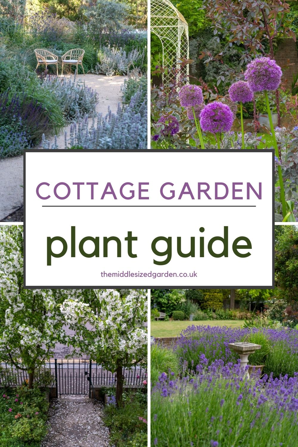 Canva alexandra campbell cottage garden.jpg