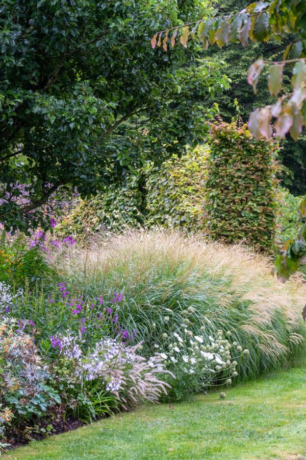 Canva grasses 4.jpg