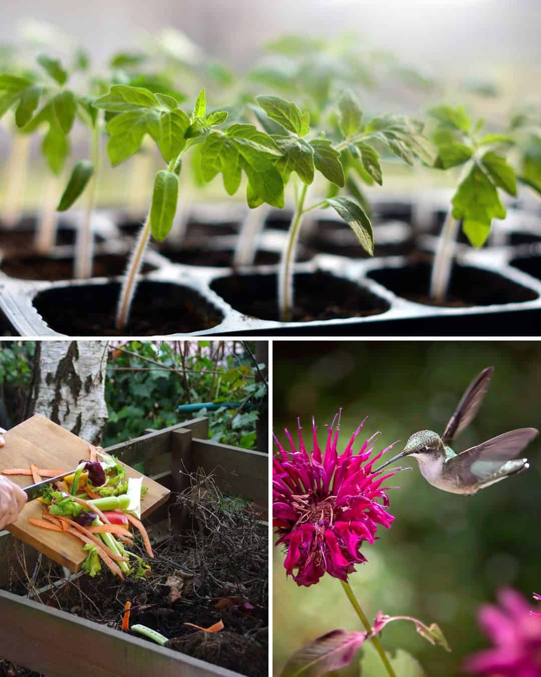 Ttlid 60448 gardening tasks feb north t1.jpg