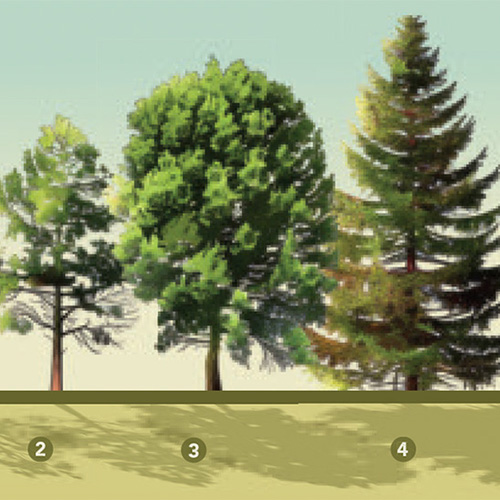Fg223 shade conditions infographic 1x1 1.jpg