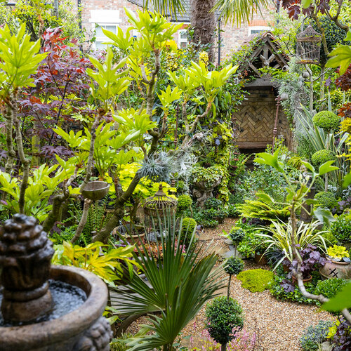 Gpod aru 4 small garden lots of plants thumb 1x1.jpg