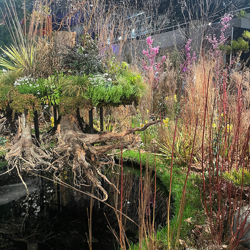 Gpod hayes 2 philadelphia flower show laurel brook gardens thumb 1x1.jpg