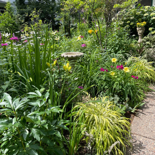 Gpod warde 7 front garden thumb 1x1.jpg