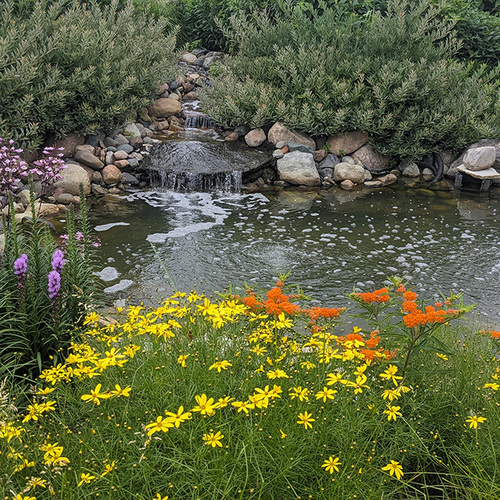 Photo 1 smaller pond ds thumb 1x1.jpg