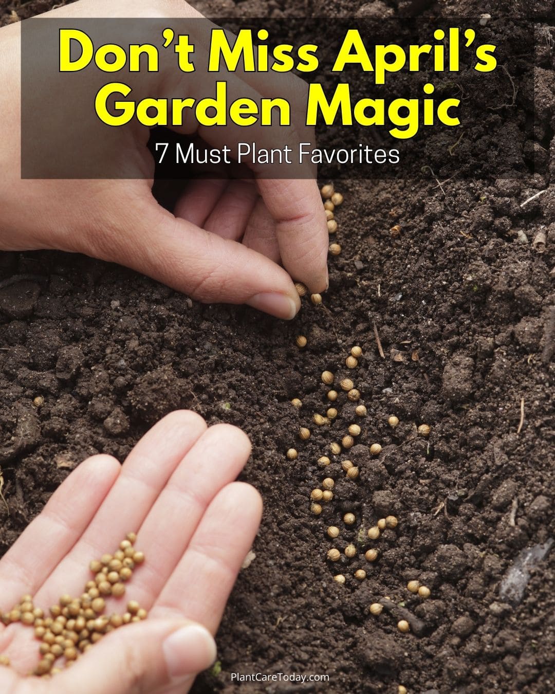 Fbid 51093 april magic must plant favorties f1.jpg