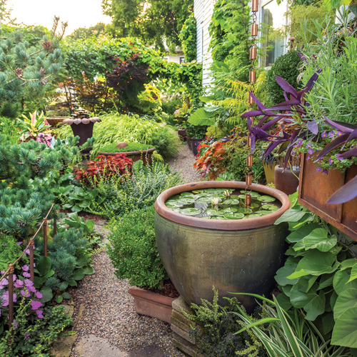 Fg224ga gagliardi side yard 24 2o0a2107 tracy walsh photo thumb 1x1.jpg