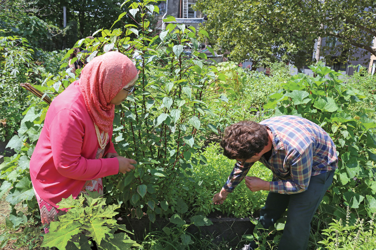 Fg224th community gardeners harvesting 2576 ctc.jpg